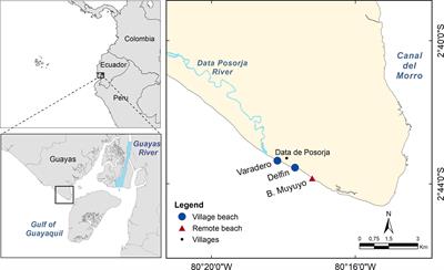 A temporal assessment of anthropogenic marine debris on sandy beaches from Ecuador’s southern coast